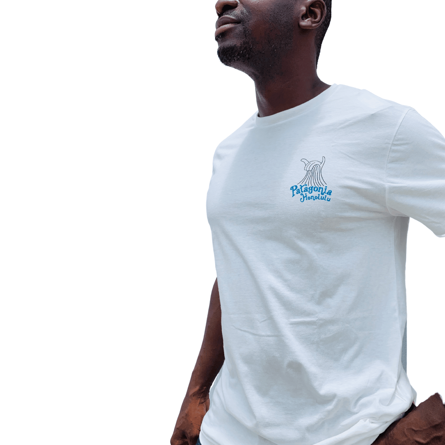 PATAGONIA/パタゴニア ハワイ パタロハ メンズ 半袖 Tシャツ オーガニックコットン ホワイト ハワイ直輸入 L
