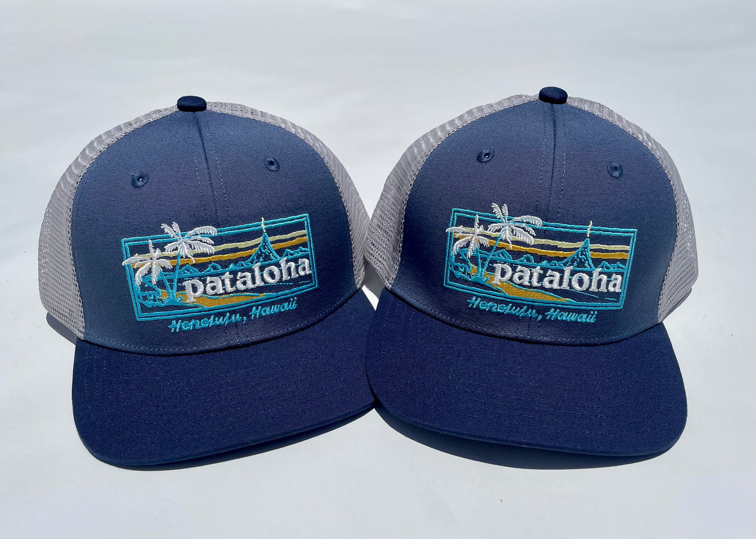 オーガニックコットンpatagonia ハワイ ホノルル限定 キャップ